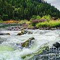 Rogue River Rapids